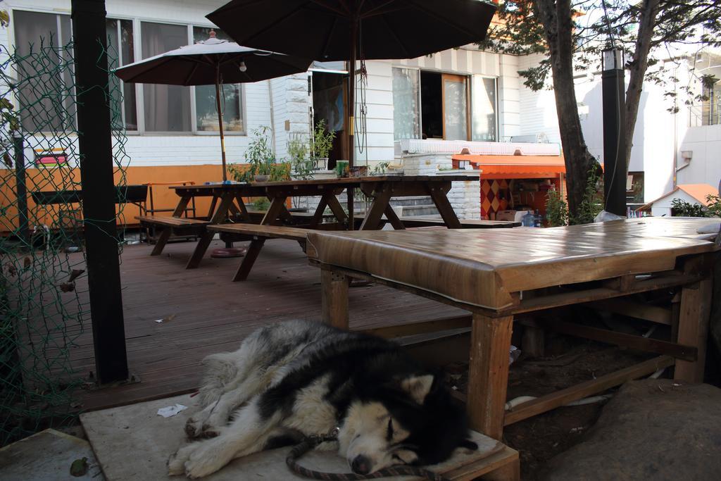 Hongdae Orange Guesthouse Seoul Bagian luar foto